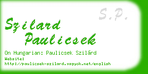 szilard paulicsek business card